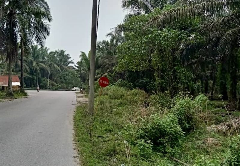 19.612507 acres First lot palm oil land at Air kuning, Perak