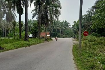 19.612507 acres First lot palm oil land at Air kuning, Perak