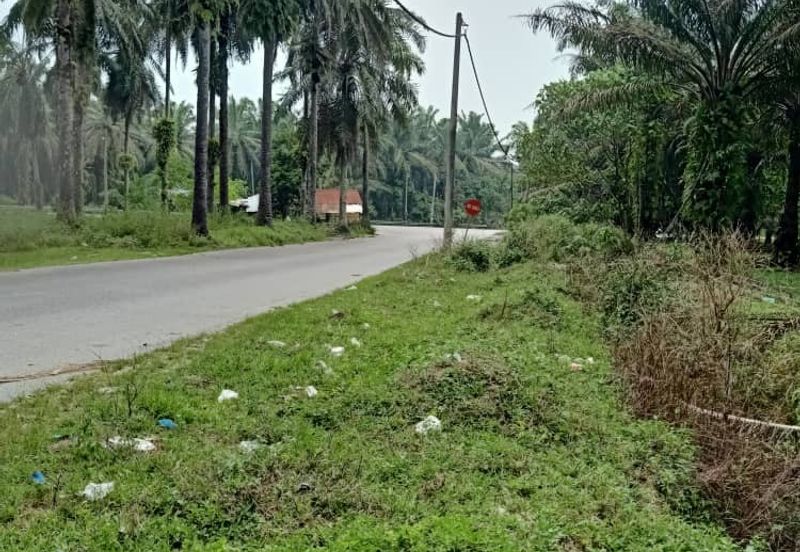 19.612507 acres First lot palm oil land at Air kuning, Perak