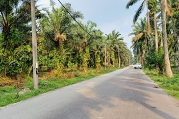 19.612507 acres First lot palm oil land at Air kuning, Perak