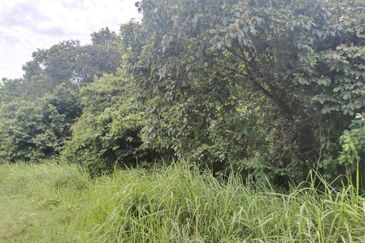 1.96 acres abandoned agri land at Kampar, Perak