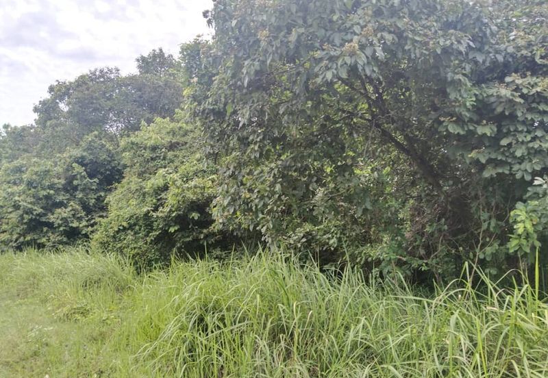 1.96 acres abandoned agri land at Kampar, Perak