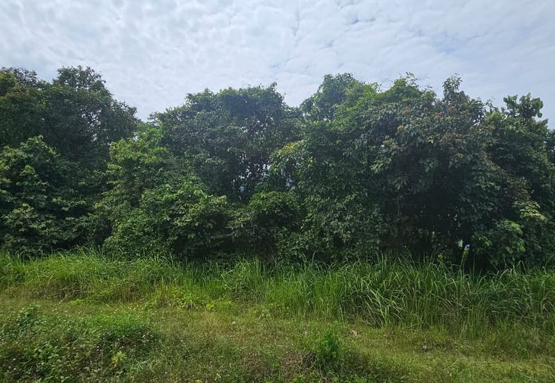 1.96 acres abandoned agri land at Kampar, Perak