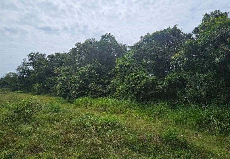 1.96 acres abandoned agri land at Kampar, Perak