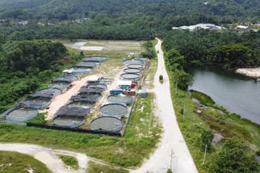 1.96 acres abandoned agri land at Kampar, Perak