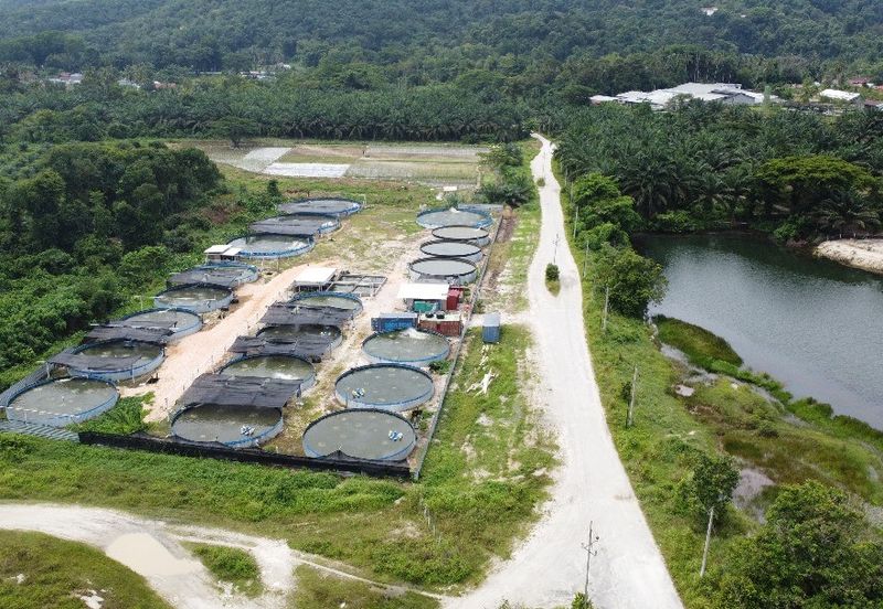 1.96 acres abandoned agri land at Kampar, Perak