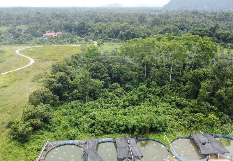 1.96 acres abandoned agri land at Kampar, Perak