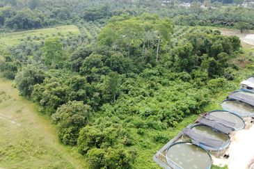 1.96 acres abandoned agri land at Kampar, Perak