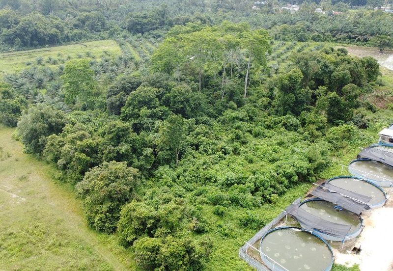 1.96 acres abandoned agri land at Kampar, Perak