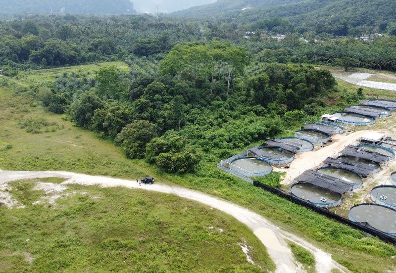 1.96 acres abandoned agri land at Kampar, Perak