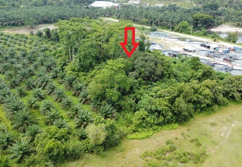 1.96 acres abandoned agri land at Kampar, Perak
