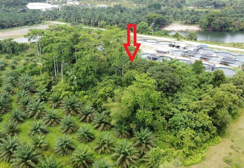 1.96 acres abandoned agri land at Kampar, Perak