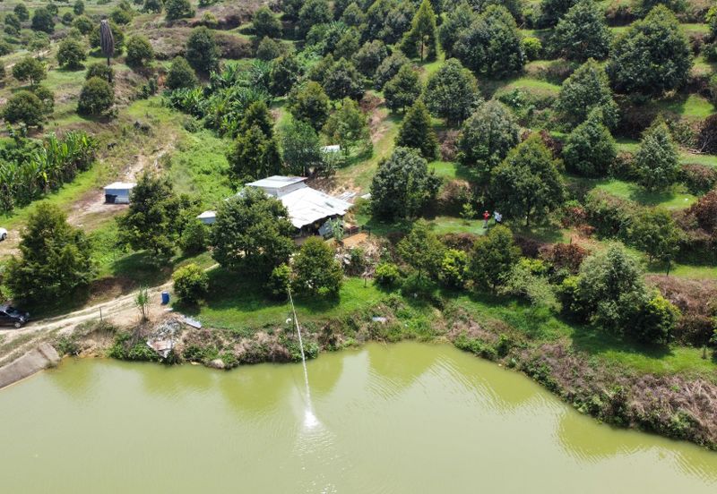 46 acres Durian Farm at Tapah,Perak