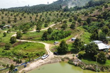 46 acres Durian Farm at Tapah,Perak