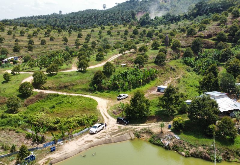 46 acres Durian Farm at Tapah,Perak