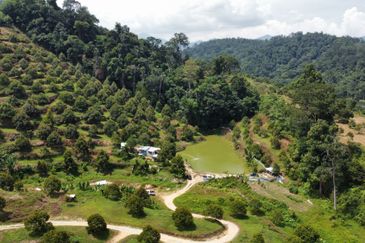 46 acres Durian Farm at Tapah,Perak