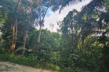 14.76 acres abandoned rubber estate at Tapah, Perak