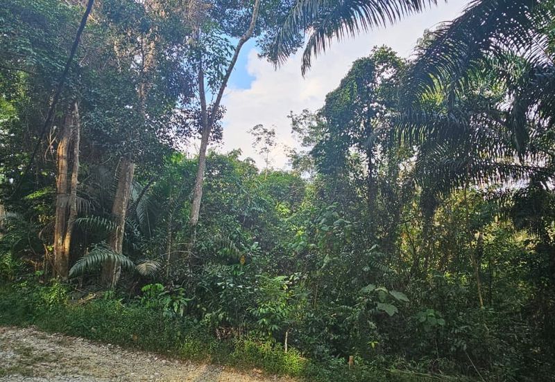 14.76 acres abandoned rubber estate at Tapah, Perak