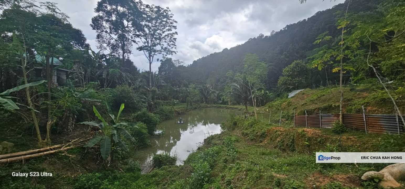 4.36 acres mix fruit farm with bungalow house at Sg meru, Meru Ipoh, Perak, Ipoh