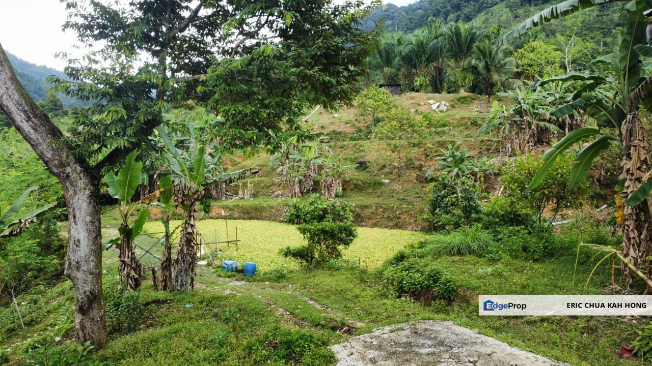 4.36 acres mix fruit farm with bungalow house at Sg meru, Meru Ipoh, Perak, Ipoh