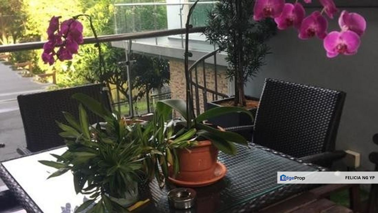 The Rafflesia Damansara Perdana 4 Storey House For Sale, Selangor, Petaling Jaya