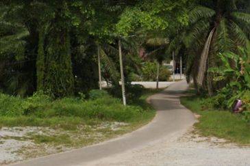 2.14 Acres Freehold Agricultural Land Kg Parit Sentang Parit Sulong Batu Pahat Johor Darul Takzim