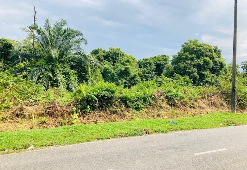 Persiaran Pulau Lumut 