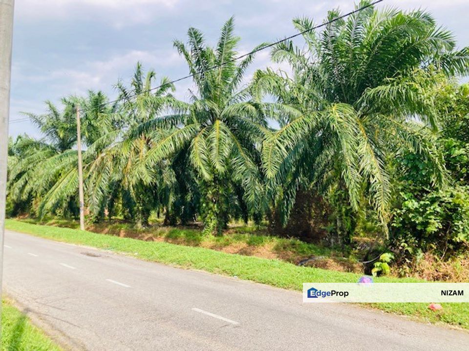 1.5 Acres Freehold Malay Reserved Land in Pulau Indah For Sale, Selangor, Klang