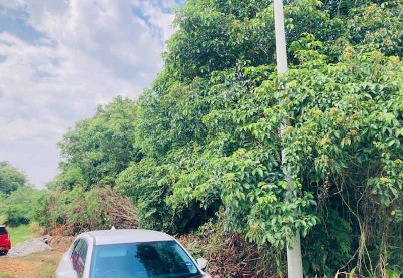 Pulau Indah ( Pulau Lumut )