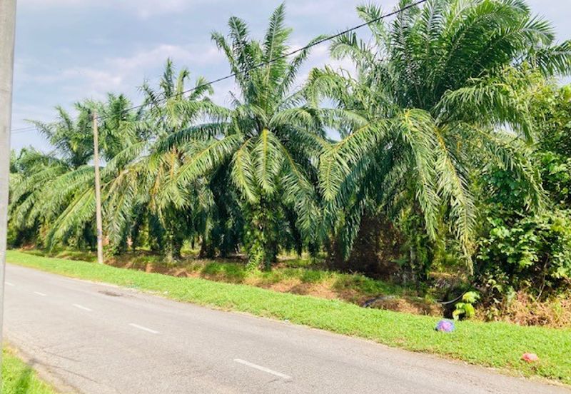 Pulau Indah ( Pulau Lumut )