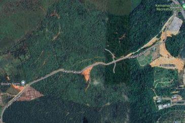 Tanah Freehold Malay Reserved Tepi Jalan 2km Dari Zoo Kemaman Terengganu