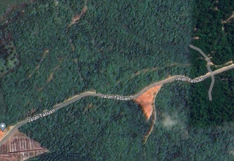 Tanah Freehold Malay Reserved Tepi Jalan 2km Dari Zoo Kemaman Terengganu