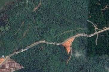 Tanah Freehold Malay Reserved Tepi Jalan 2km Dari Zoo Kemaman Terengganu