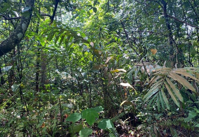 Agricultural Land 6 Acres in Kemensah Ampang KL For Sale