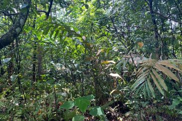 Agricultural Land 6 Acres in Kemensah Ampang KL For Sale