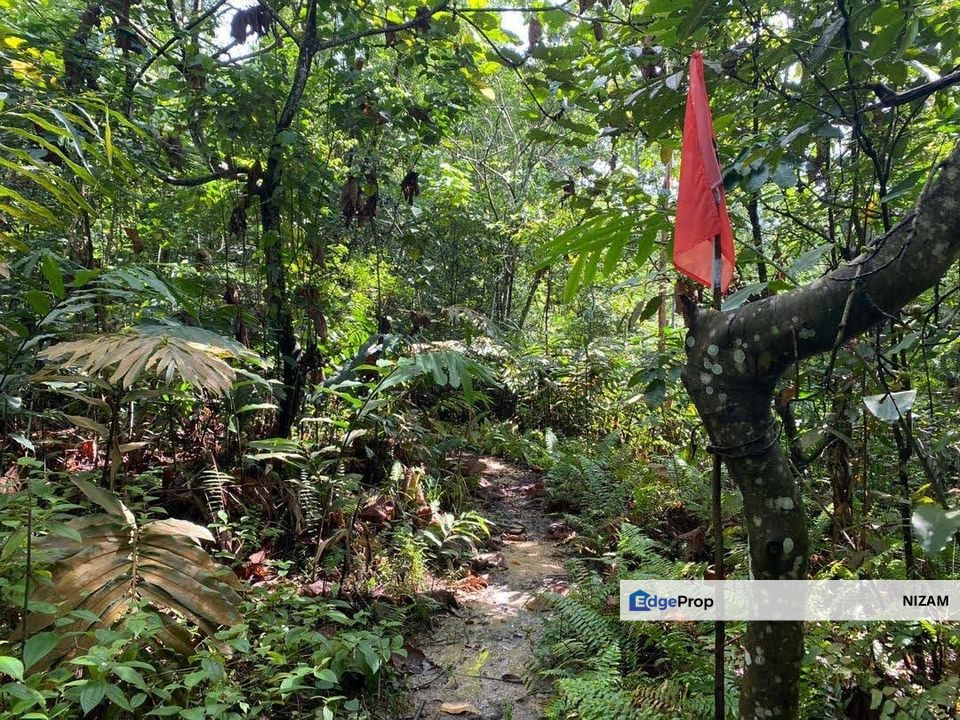 Agricultural Land 6 Acres in Kemensah Ampang KL For Sale, Selangor, Ulu Kelang