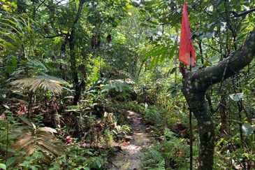 Agricultural Land 6 Acres in Kemensah Ampang KL For Sale