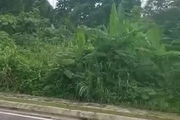 Taman Tiara Titiwangsa