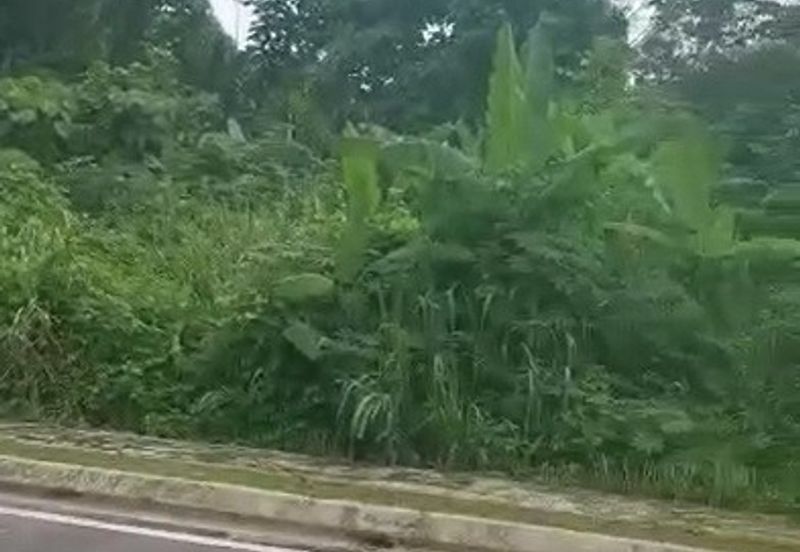 Taman Tiara Titiwangsa