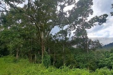 Tanah Dusun Durian Sg Jawa Ulu Cheka Jerantut Pahang Utk Dijual