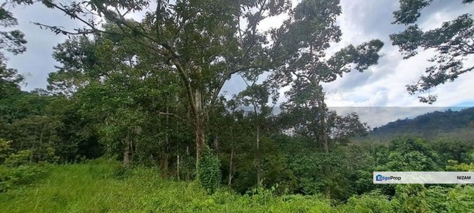 Tanah Dusun Durian Sg Jawa Ulu Cheka Jerantut Pahang Utk Dijual, Pahang, Jerantut