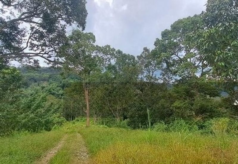 Tanah Dusun Durian Sg Jawa Ulu Cheka Jerantut Pahang Utk Dijual
