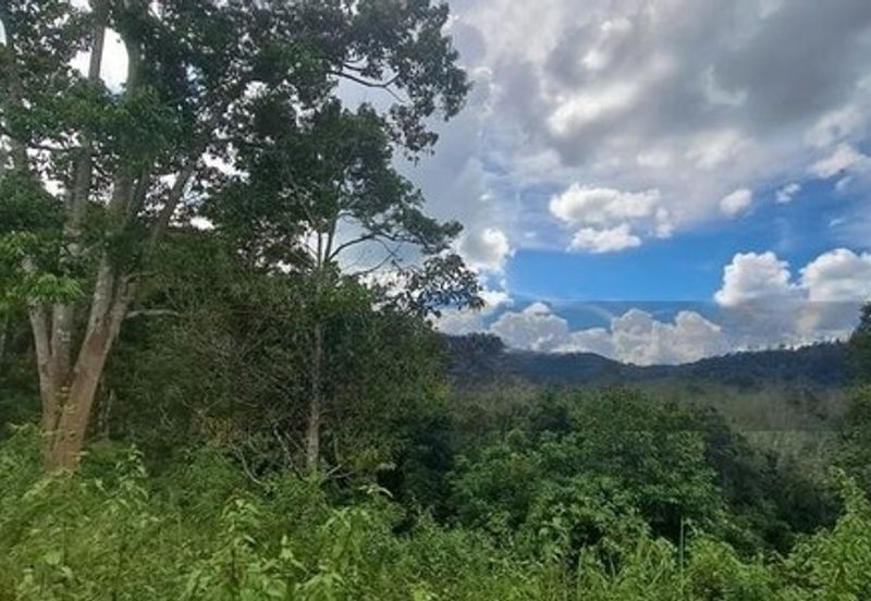 Tanah Dusun Durian Sg Jawa Ulu Cheka Jerantut Pahang Utk Dijual