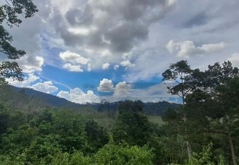 Tanah Dusun Durian Sg Jawa Ulu Cheka Jerantut Pahang Utk Dijual