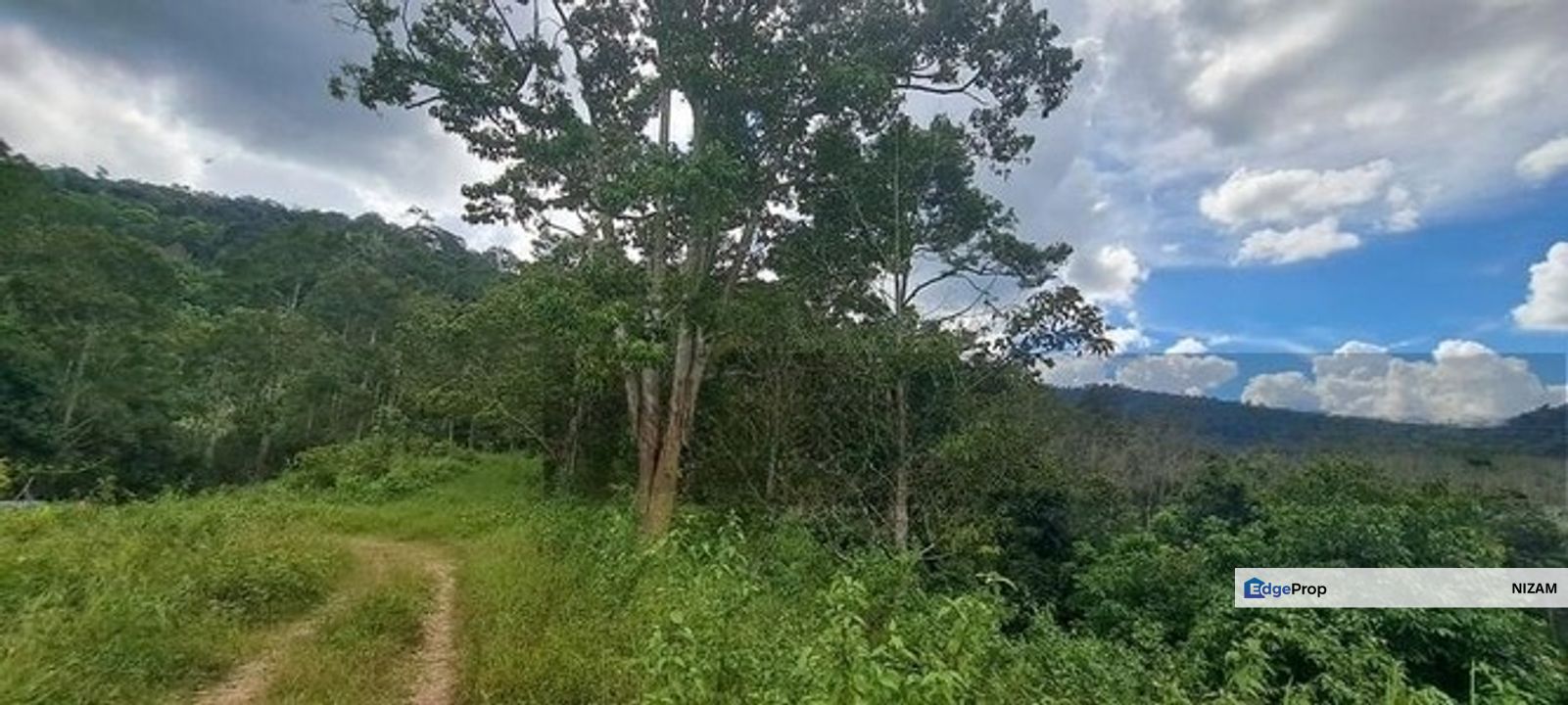 Tanah Dusun Durian Sg Jawa Ulu Cheka Jerantut Pahang Utk Dijual, Pahang, Jerantut