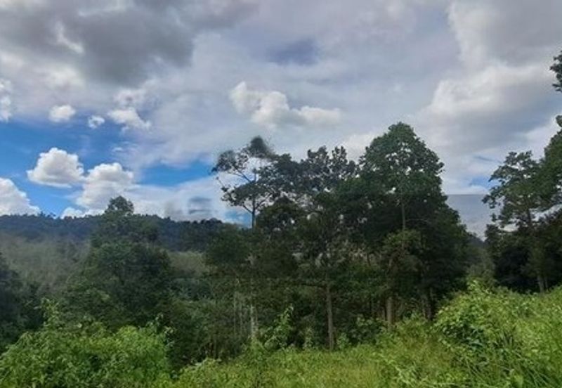 Tanah Dusun Durian Sg Jawa Ulu Cheka Jerantut Pahang Utk Dijual