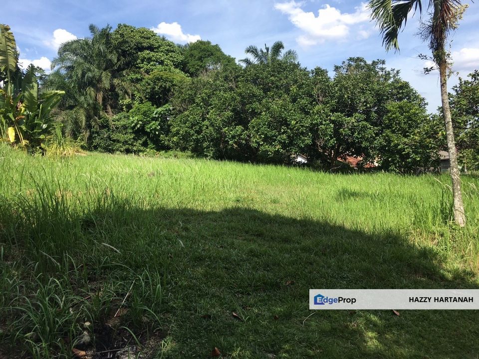 Tanah Pertanian 1 ekar untuk dijual, Kg Merbau Sempak, Sungai Buloh , Selangor, Sungai Buloh