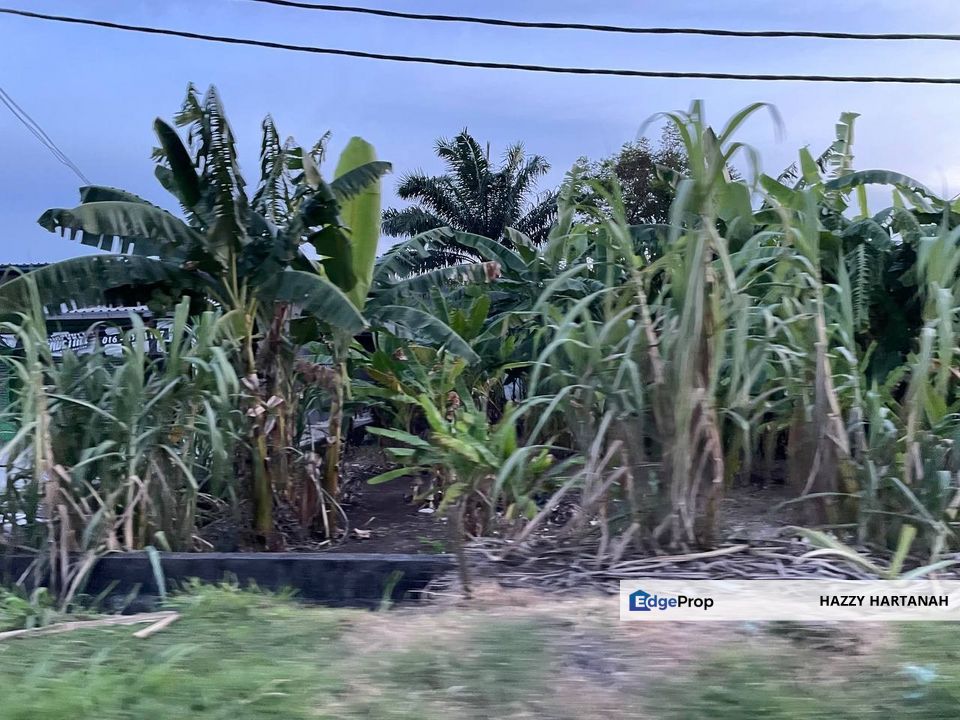 Tanah pertanian Jalan Johan Setia, Kampung Johan Setia,  Klang FOR SALE!. non-bumi can buy!, Selangor, Klang
