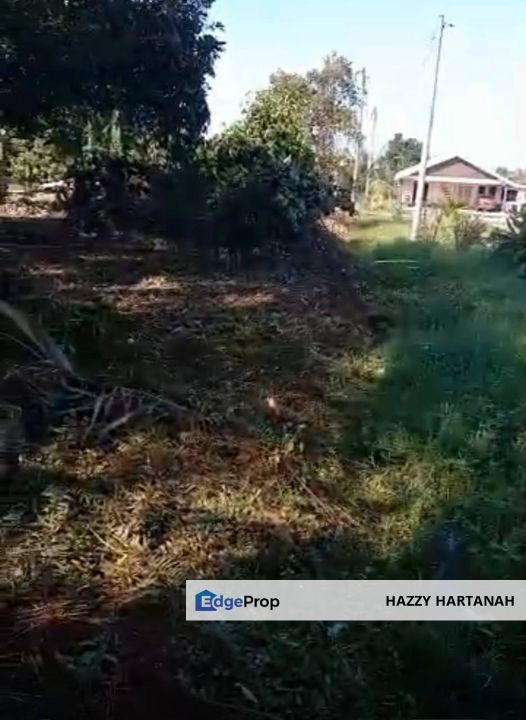 Tanah Bangunan  Lot banglo untuk dijual di Ijok. Bestari Jaya. Tanah luas yang amat!(9,741.06 sqft), Selangor, Batang Berjuntai