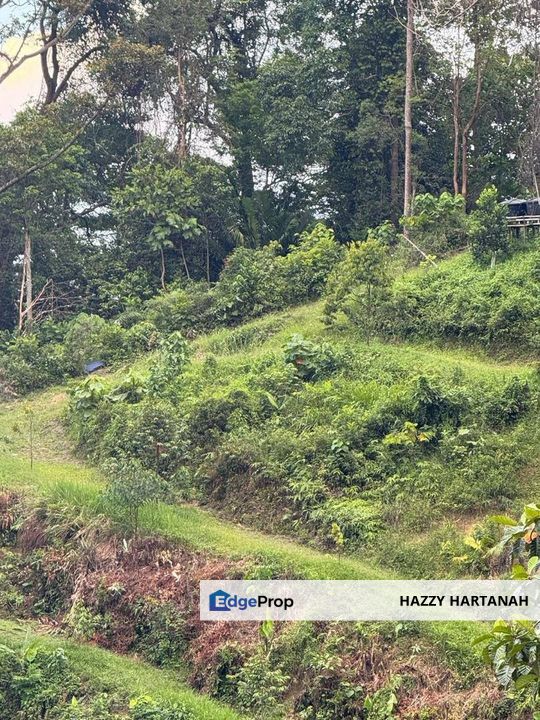 DUSUN @ TANAH PERTANIAN STRATEGIK DI GOMBAK, SELANGOR Buluh Akar / Bukit Madai, Mukim Setapak, Gombak, FOR SALE, Kuala Lumpur, Gombak